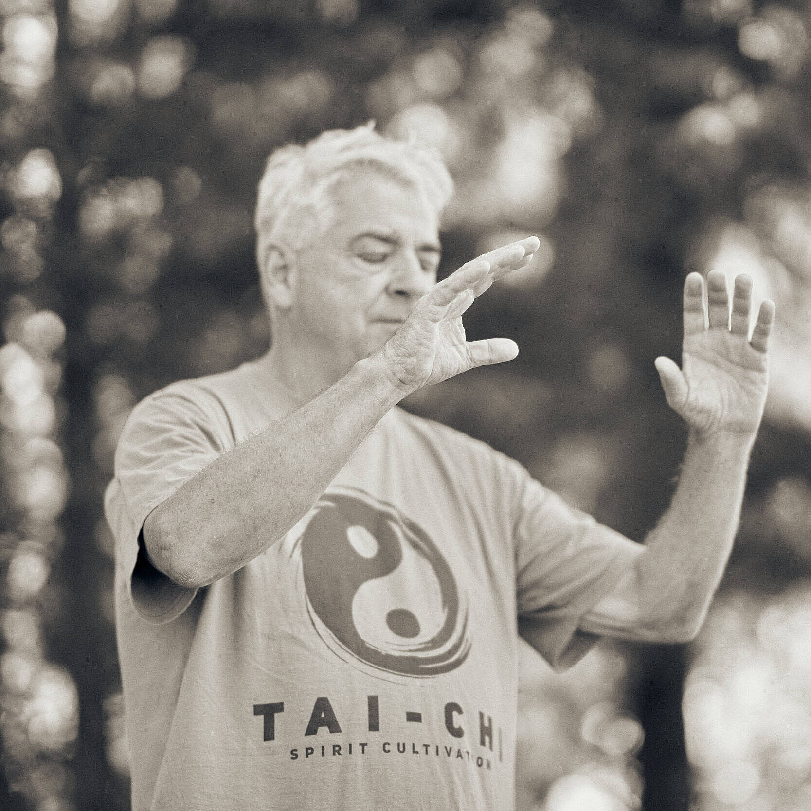 Öffnet die Seite 'Qigong-Lebenspflege - Hochsommer'