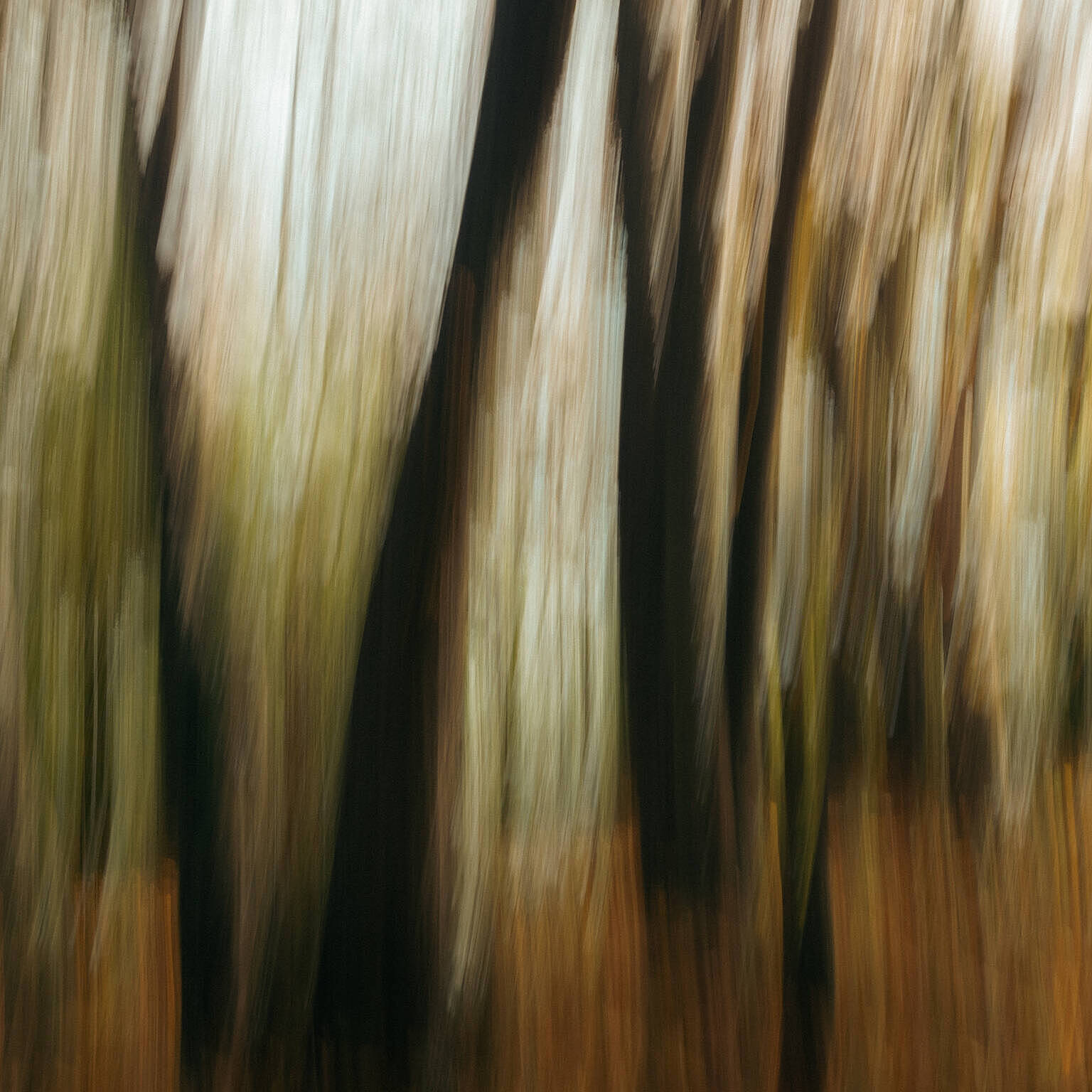 Öffnet die Seite 'Experimentelle Fotografie – neue Wege des Sehens'